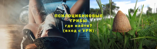 дурь Мегион