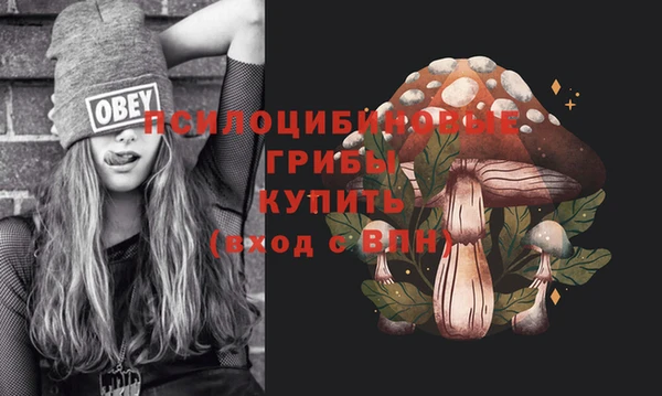 дурь Мегион