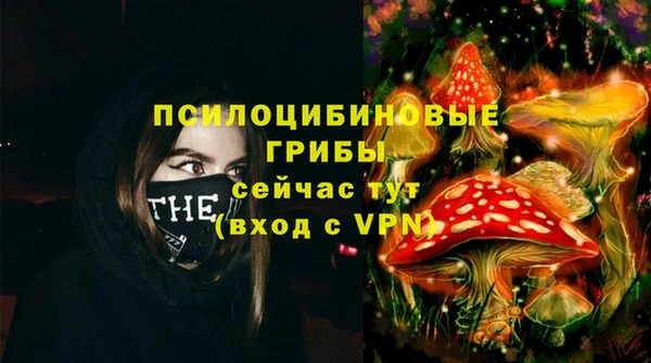 альфа пвп Медвежьегорск