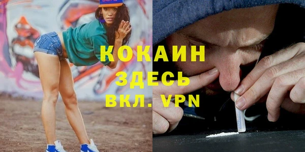 альфа пвп Медвежьегорск