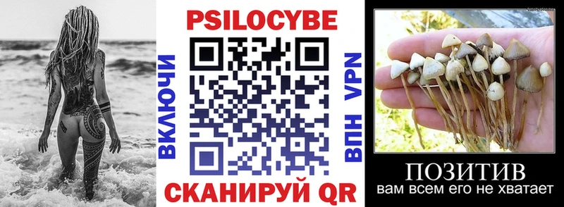 где купить наркоту  Владимир  Галлюциногенные грибы MAGIC MUSHROOMS 