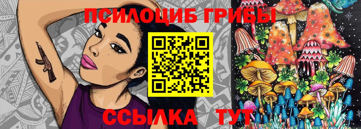 Владимир  Галлюциногенные грибы Cubensis  Галлюциногенные грибы MAGIC MUSHROOMS  Вход с VPN 