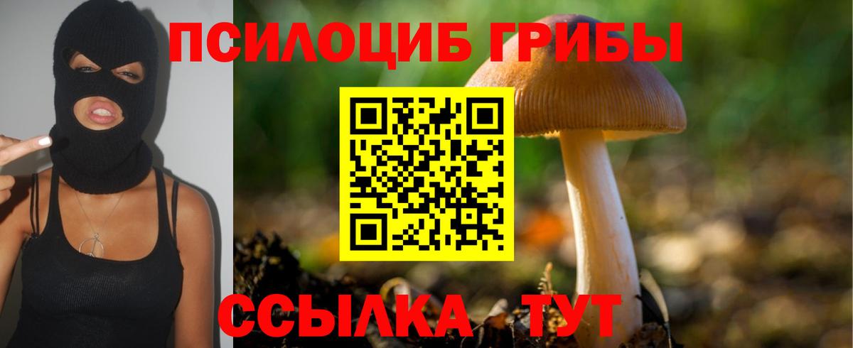 Галлюциногенные грибы Psilocybe Владимир