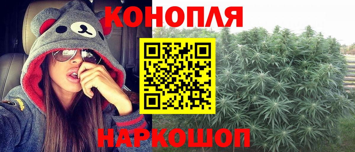 Бошки марихуана White Widow  Каннабис White Widow  Вход с VPN  Владимир  Конопля ГИДРОПОН  МАРИХУАНА индика 